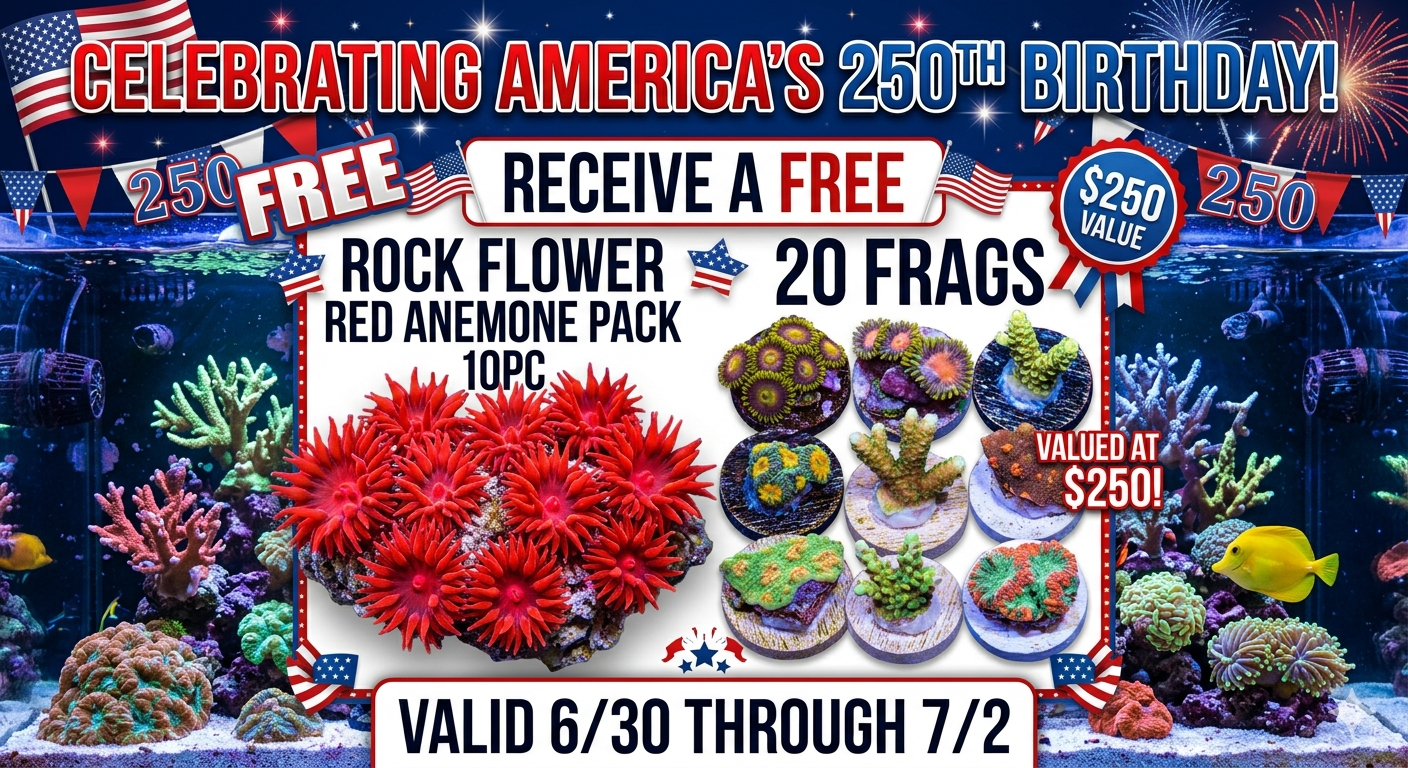 🇺🇸 FREE RED ROCK FLOWER 10pc PACK & 20 FRAGS Valid 6/30 thru 7/2 🇺🇸